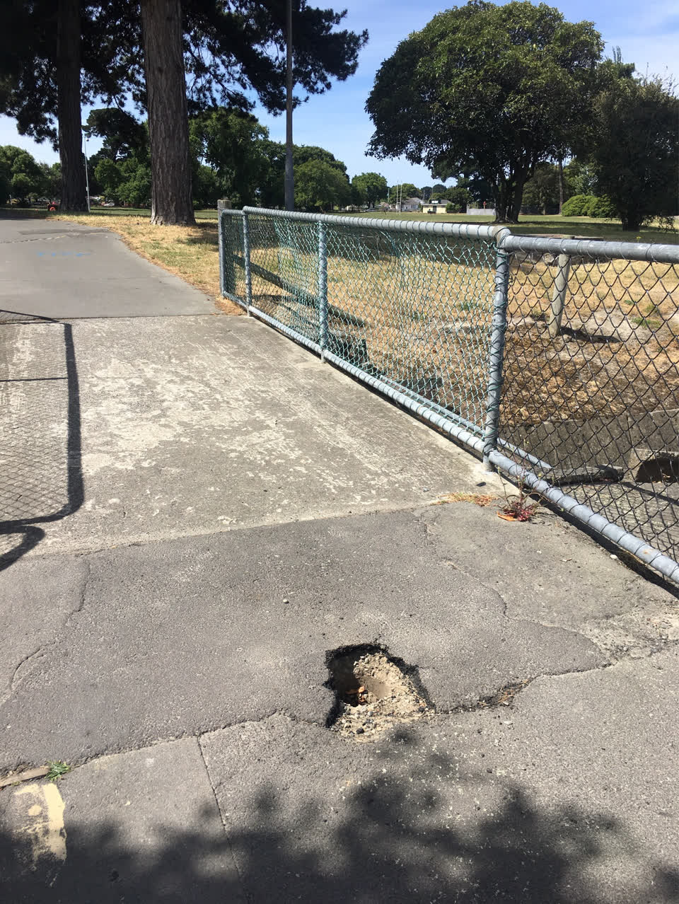 The photograph attached to this parks report