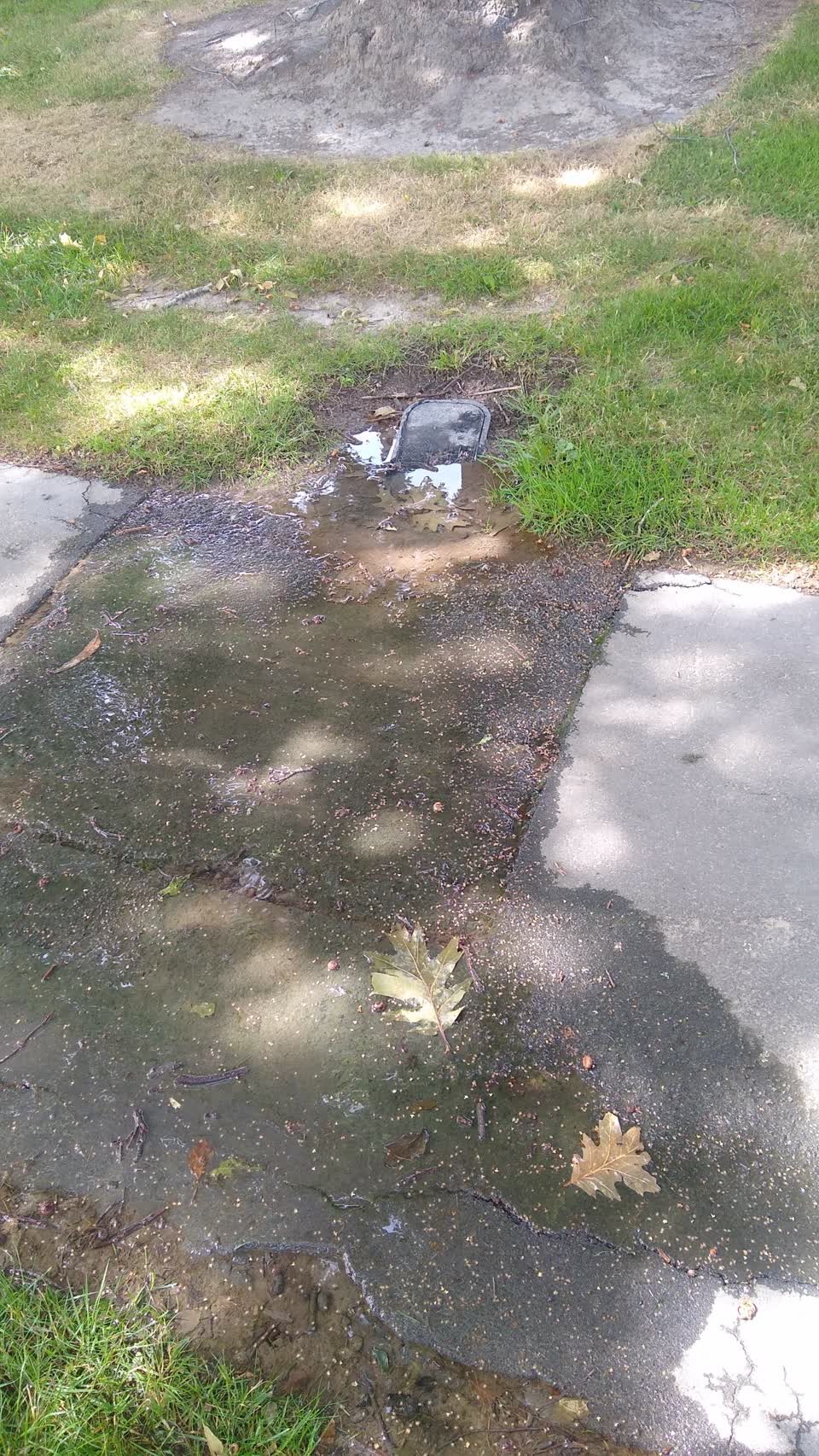 The photograph attached to this water supply report
