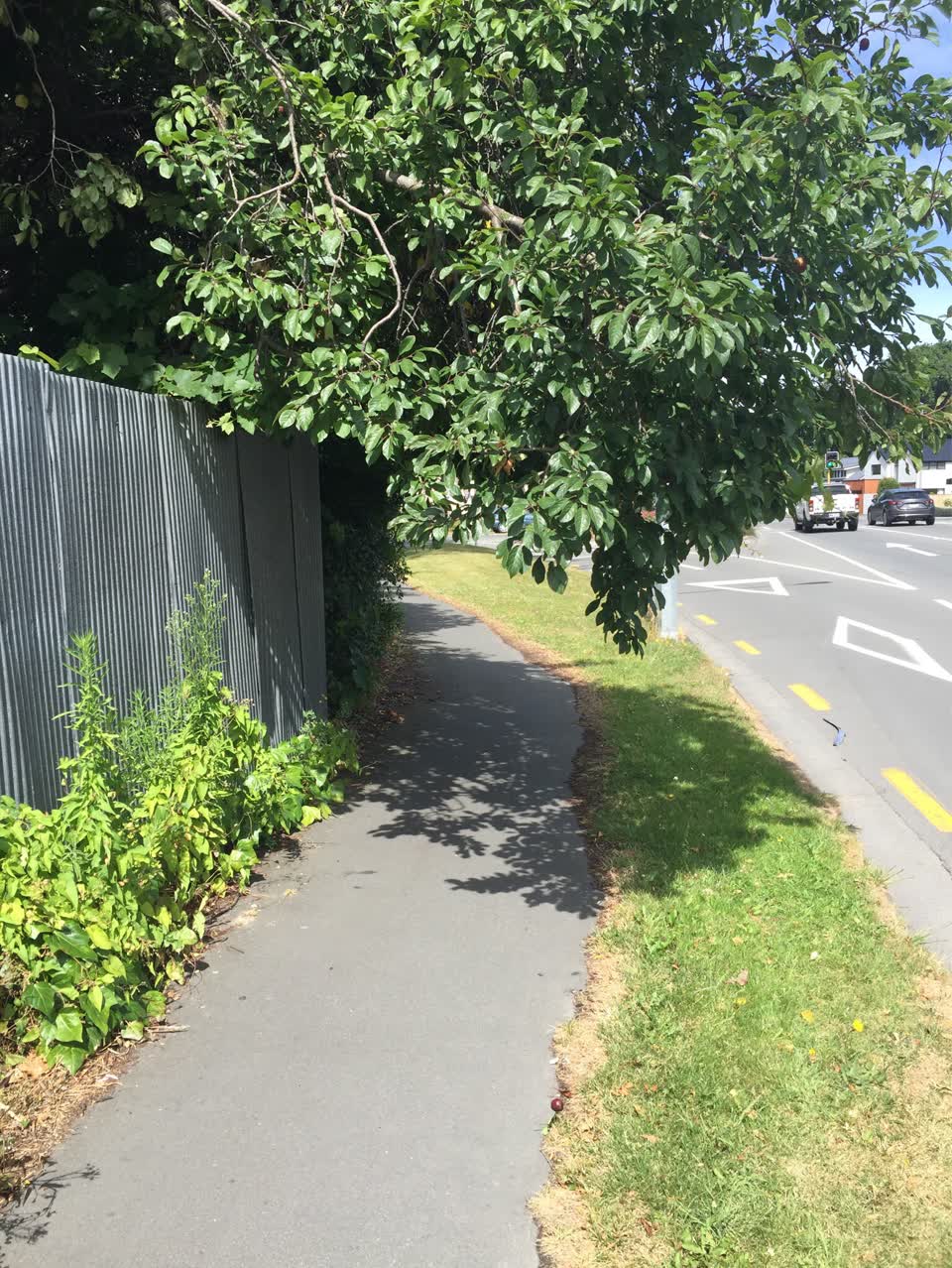 The photograph attached to this parks report
