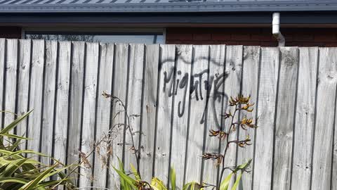 Graffiti, a report photo