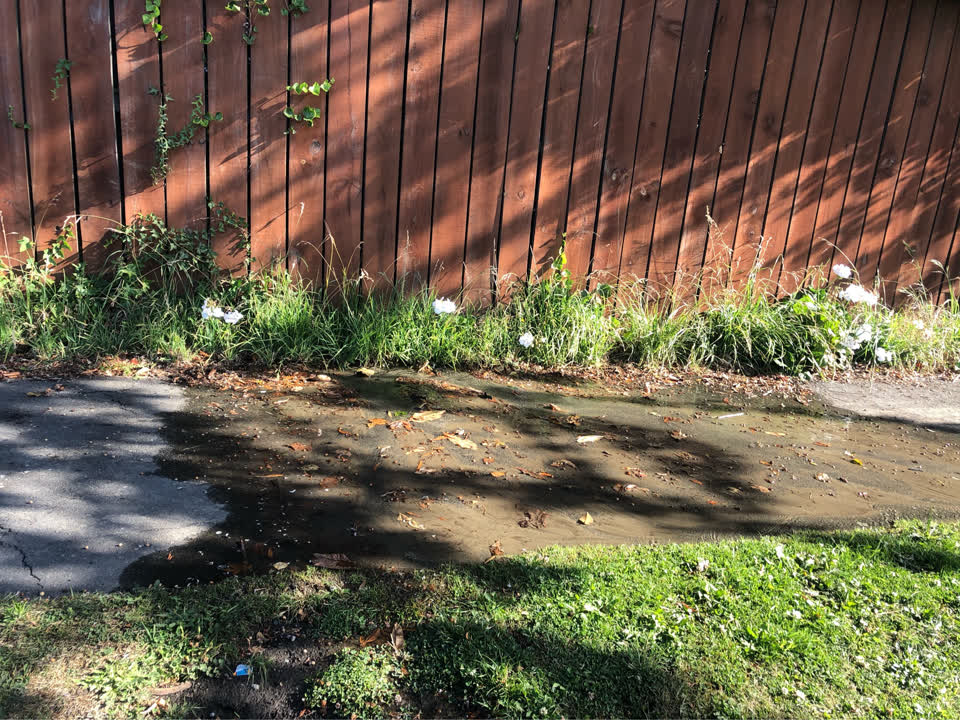 The photograph attached to this water supply report
