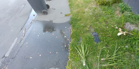 Water Supply, a report photo