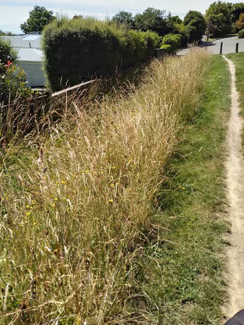 Wastewater/Stormwater, a report photo