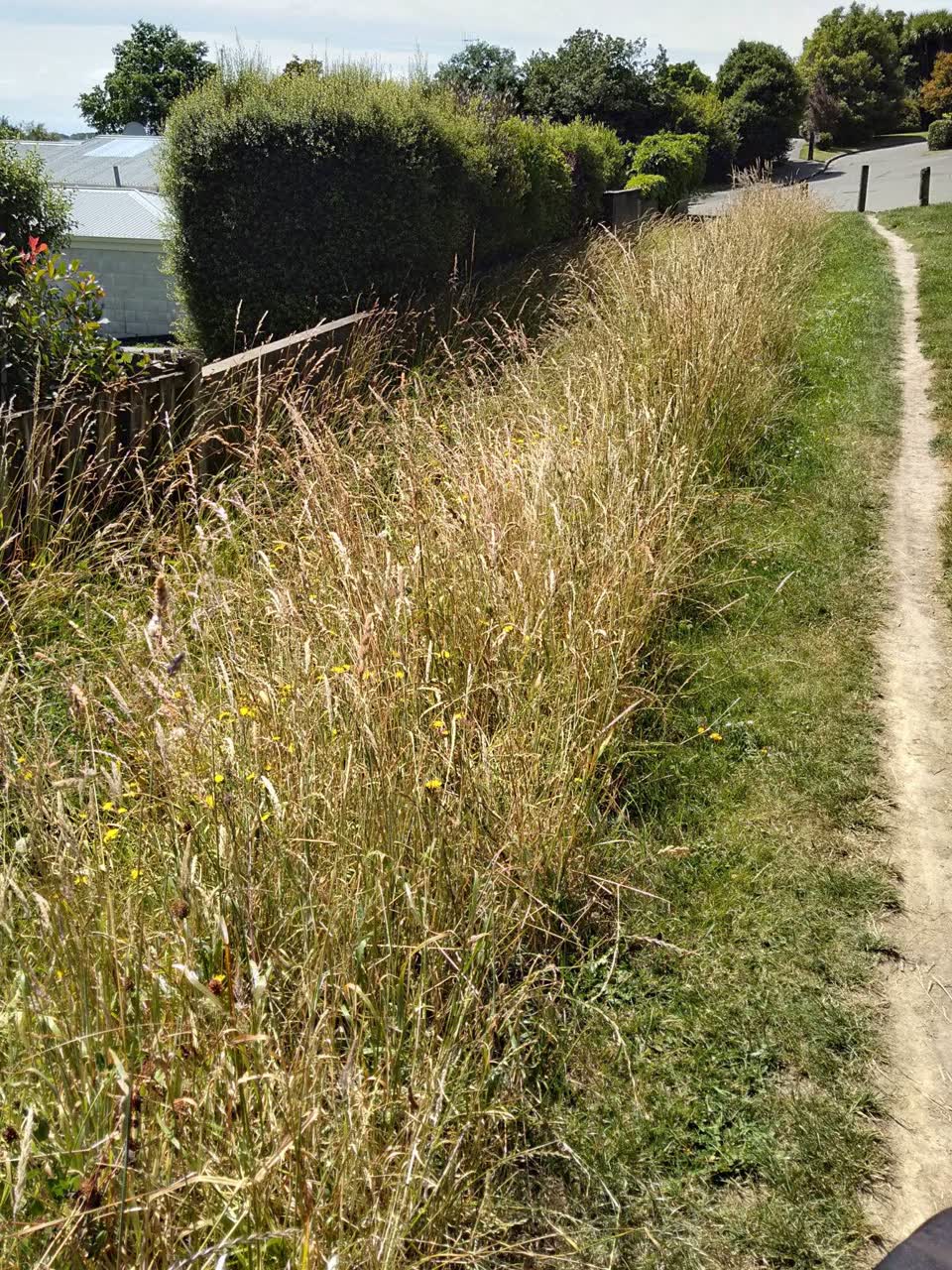 The photograph attached to this wastewater/stormwater report