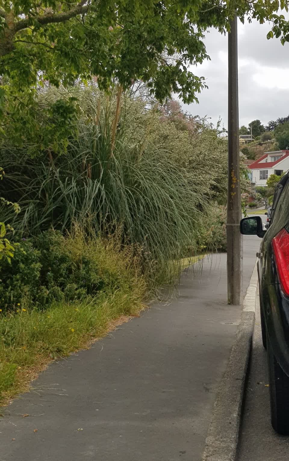 The photograph attached to this parks report
