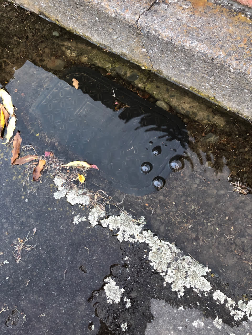 The photograph attached to this water supply report