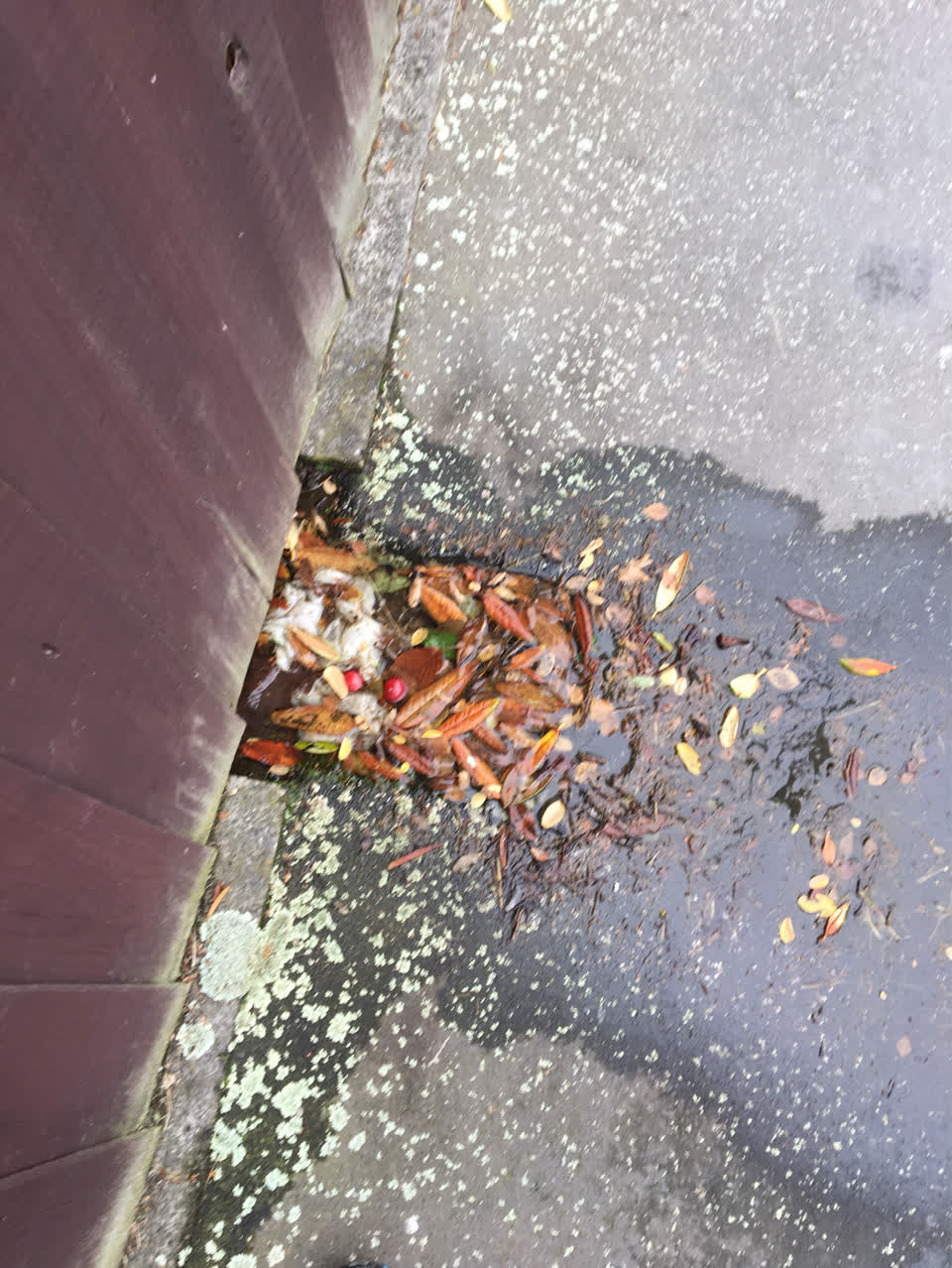 The photograph attached to this water supply report