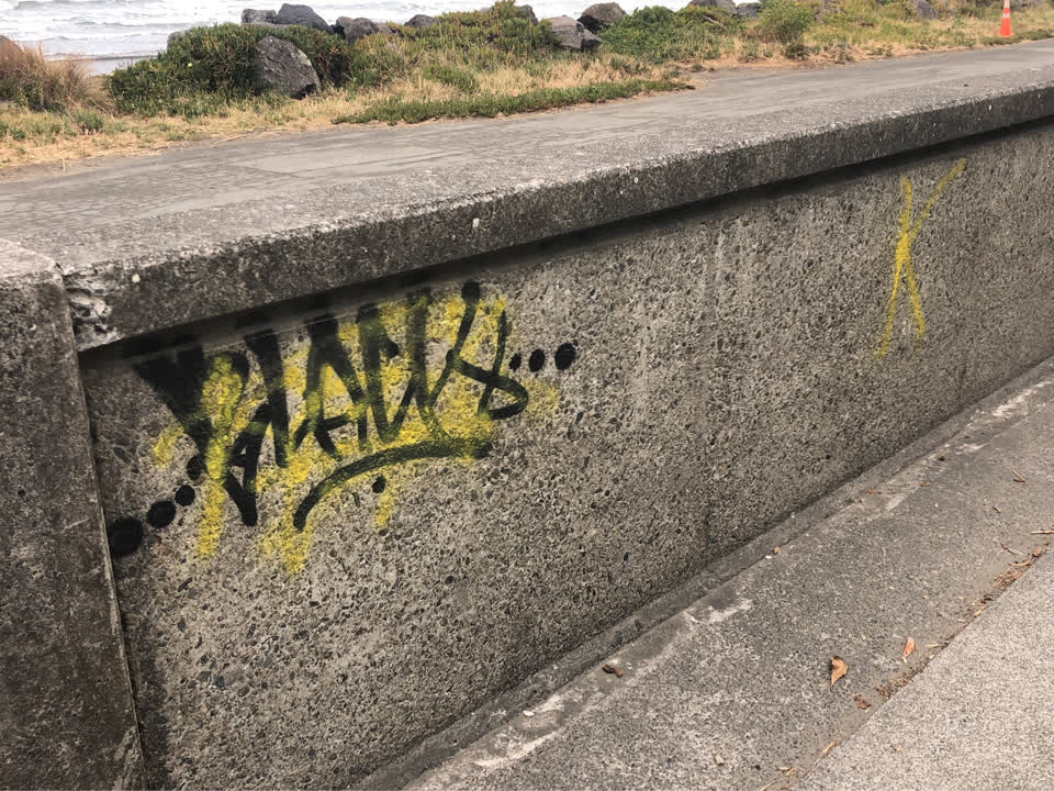The photograph attached to this graffiti report