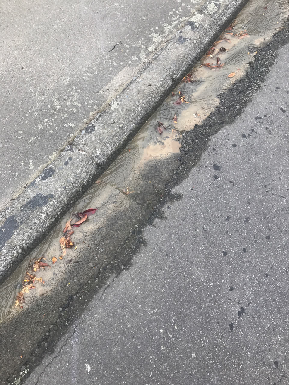 The photograph attached to this wastewater/stormwater report