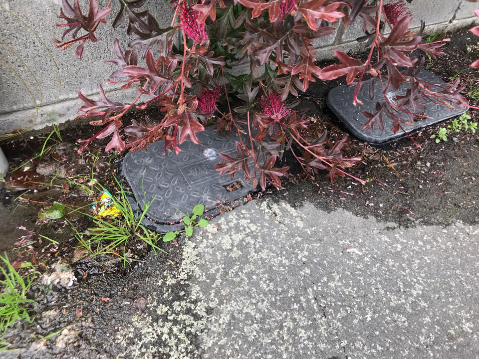 The photograph attached to this water supply report