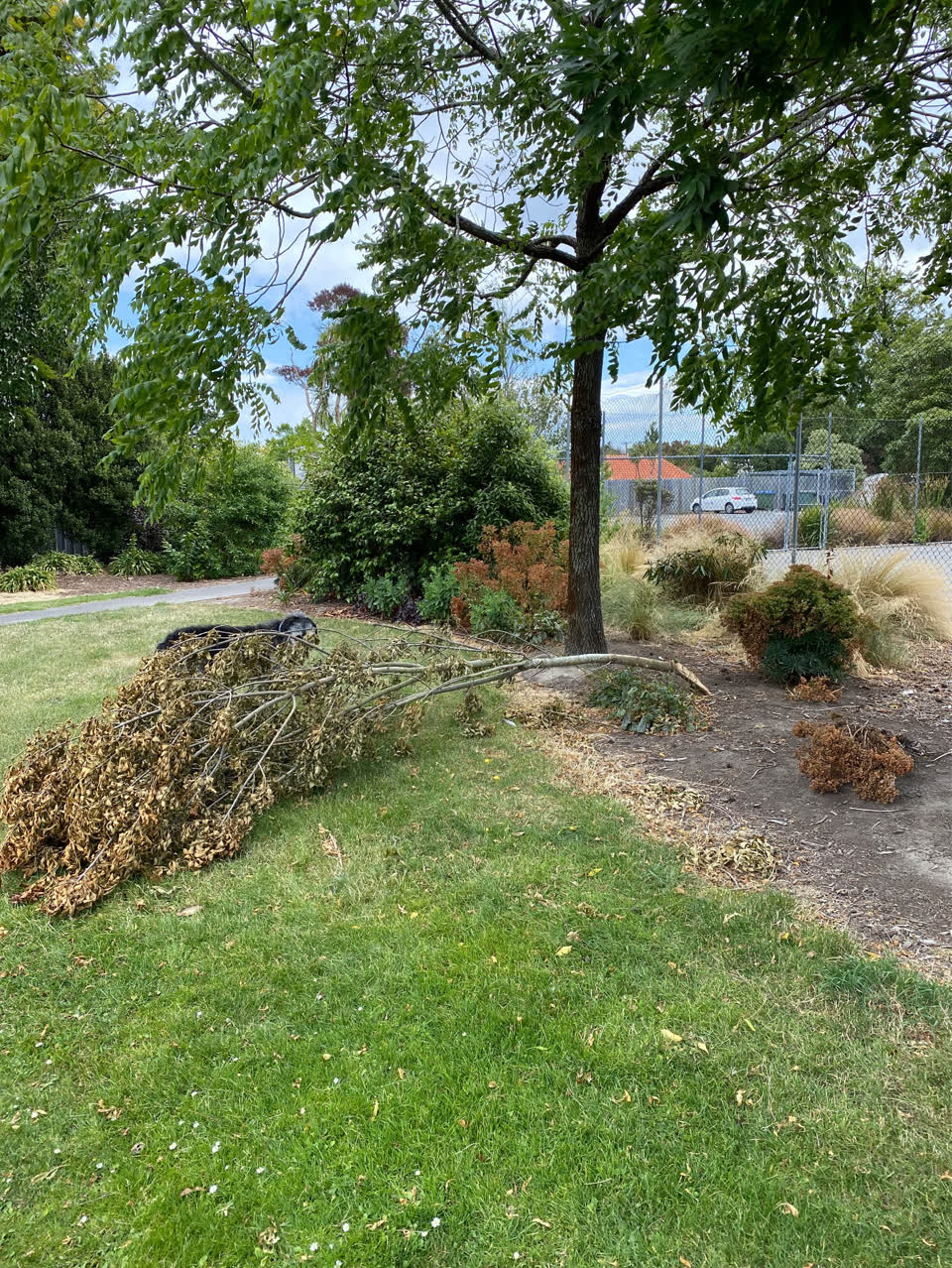 The photograph attached to this parks report