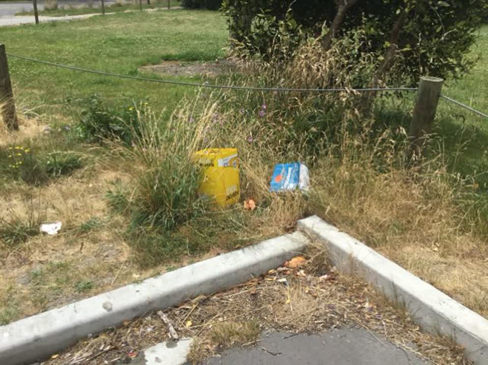 The photograph attached to this rubbish/recycling report