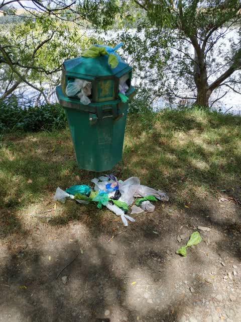 Rubbish/Recycling, a report photo