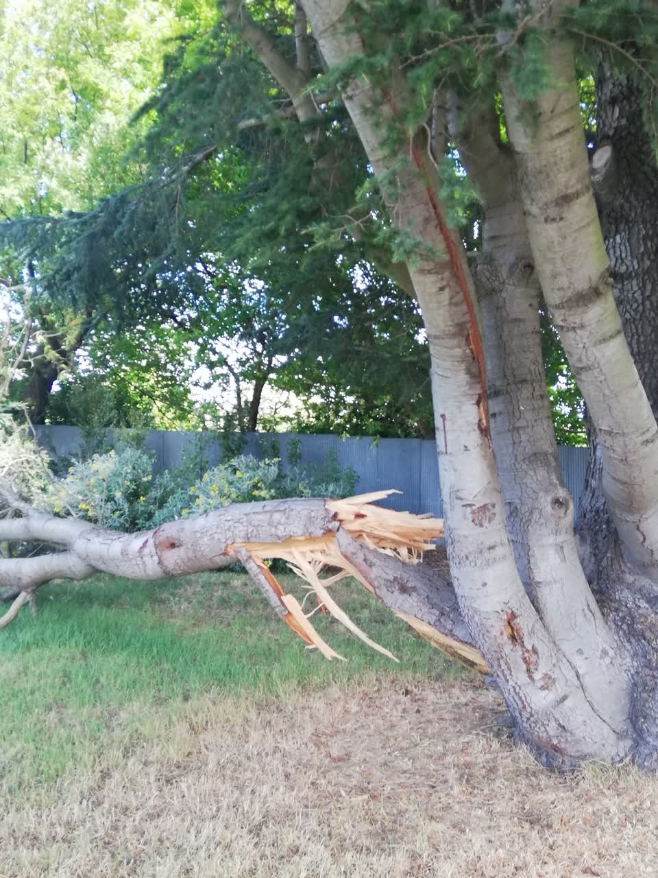 The photograph attached to this parks report