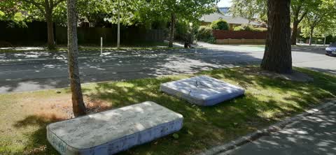 Rubbish/Recycling — a report photo