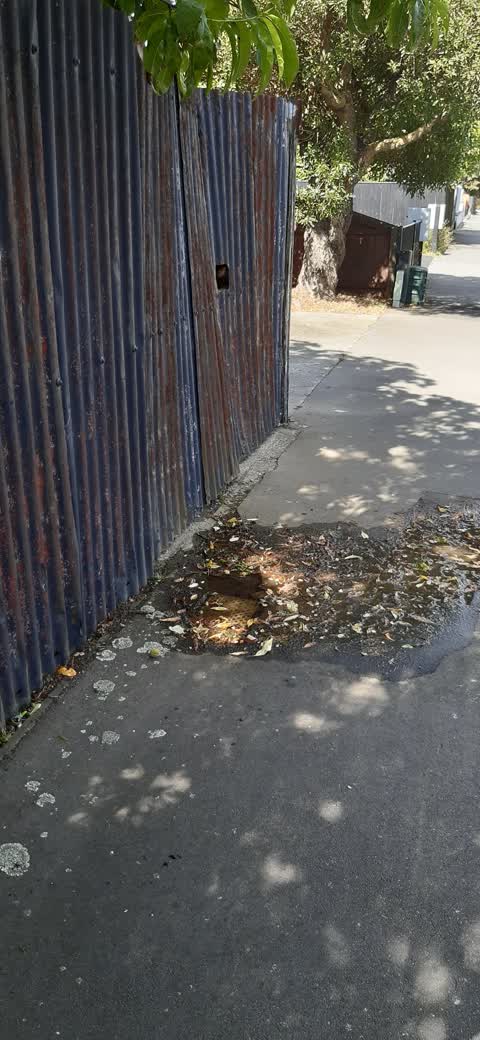 Water Supply, a report photo