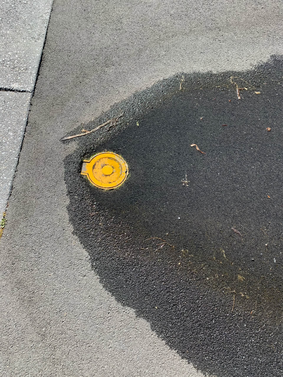 The photograph attached to this water supply report
