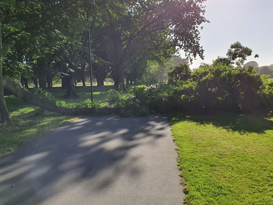 The photograph attached to this parks report