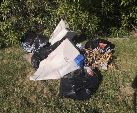 Rubbish/Recycling — a report photo