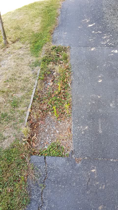 Roading/Streets, a report photo