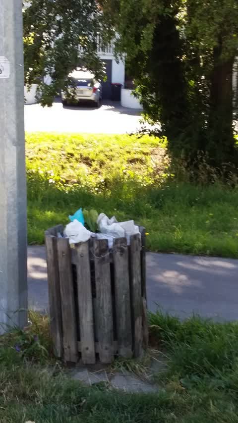 Rubbish/Recycling — a report photo