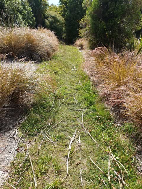Parks, a report photo
