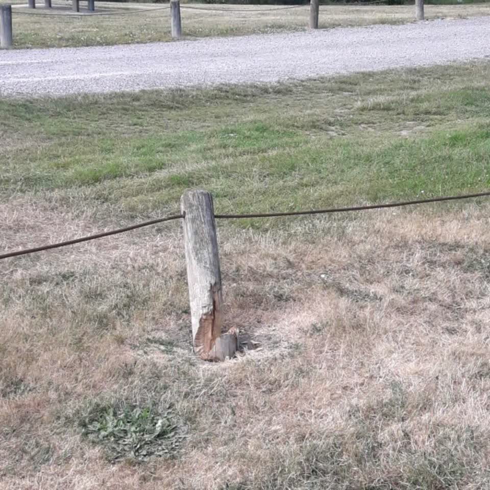 The photograph attached to this parks report