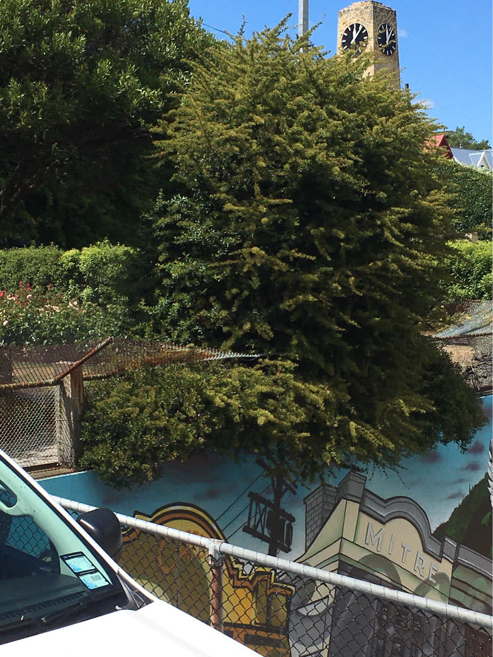 The photograph attached to this parks report