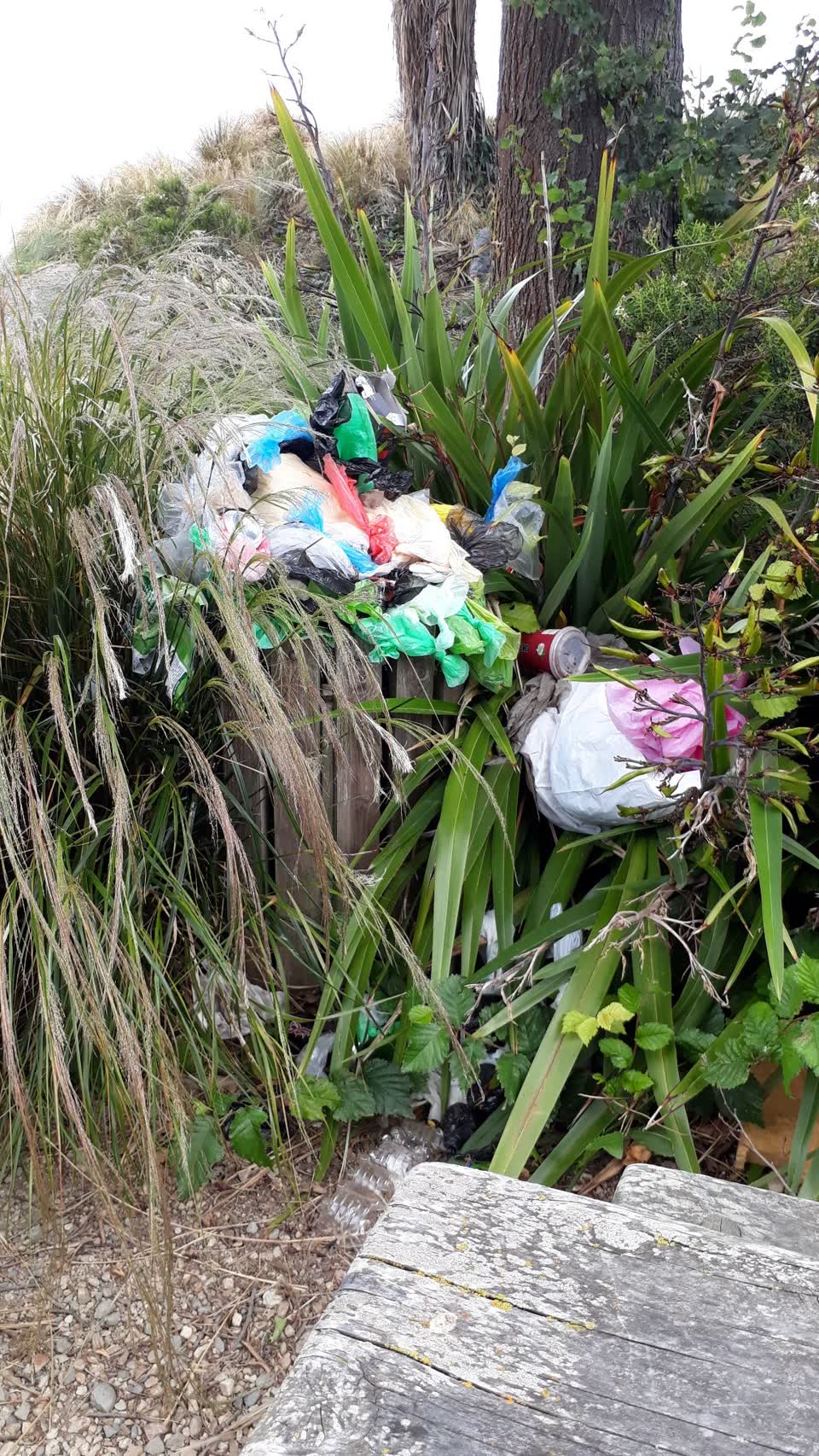 The photograph attached to this rubbish/recycling report