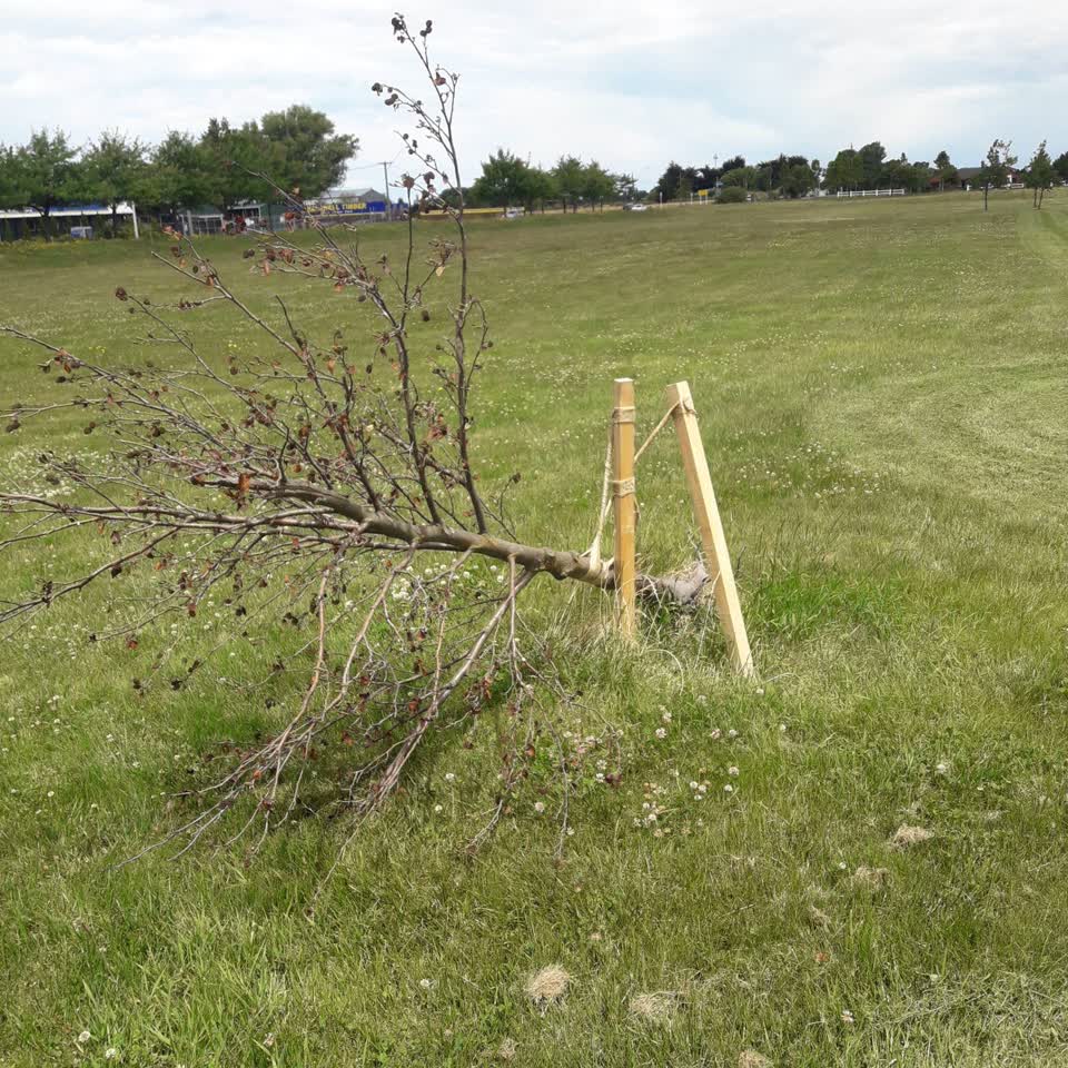 The photograph attached to this parks report