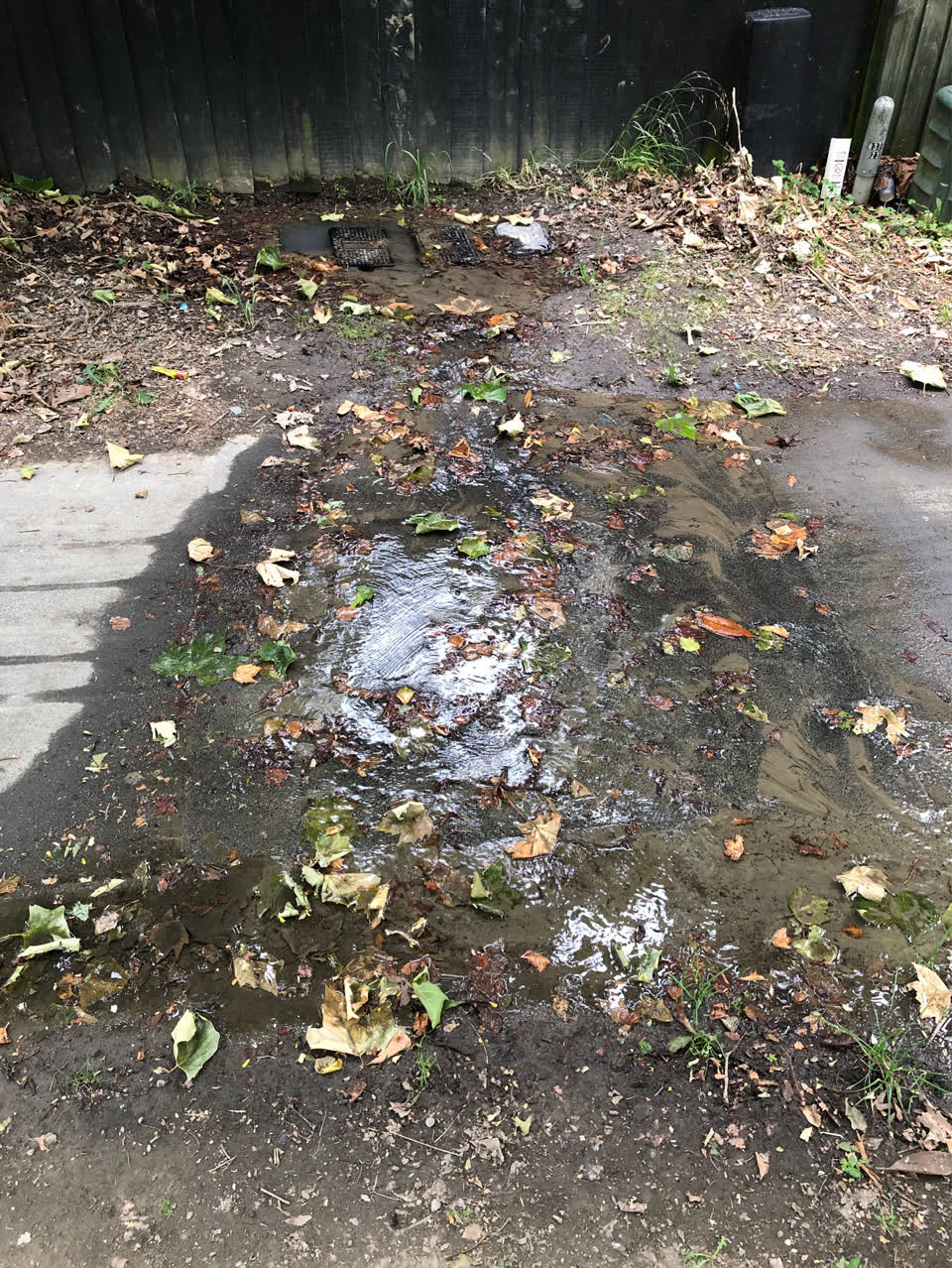 The photograph attached to this water supply report