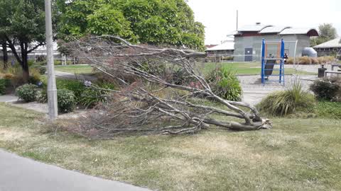 Parks — a report photo