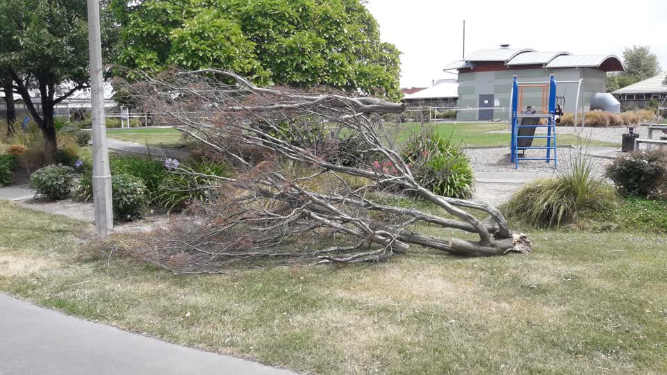 The photograph attached to this parks report