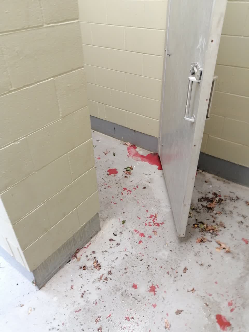 The photograph attached to this parks report