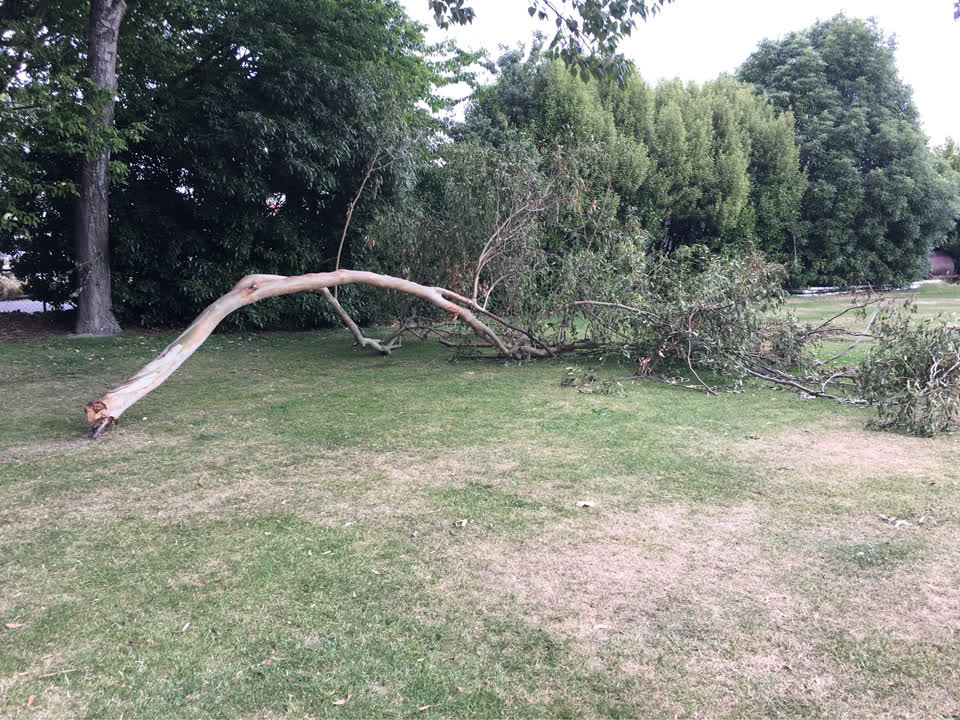 The photograph attached to this parks report