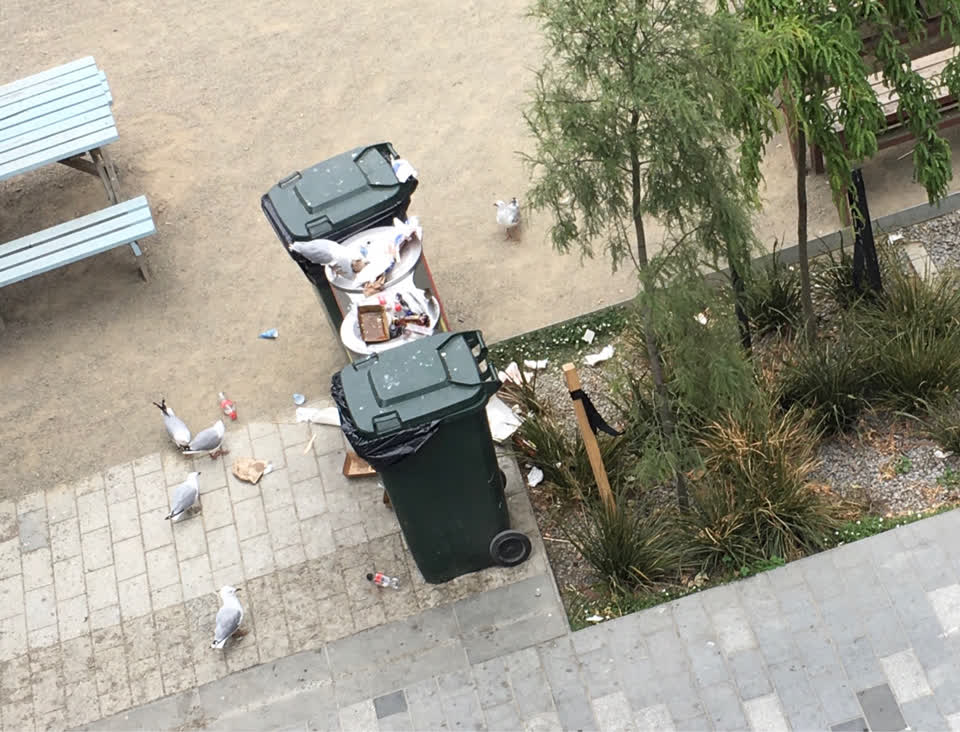The photograph attached to this rubbish/recycling report