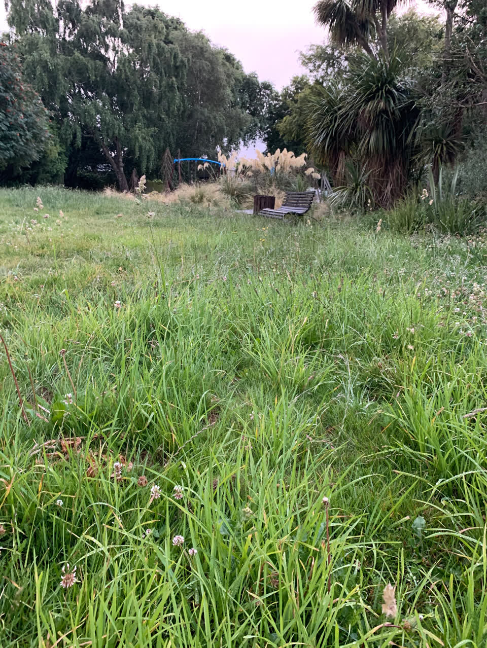 The photograph attached to this parks report