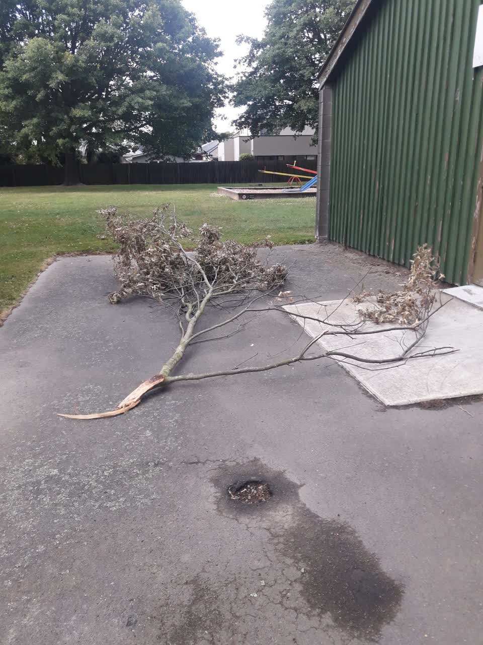 The photograph attached to this parks report