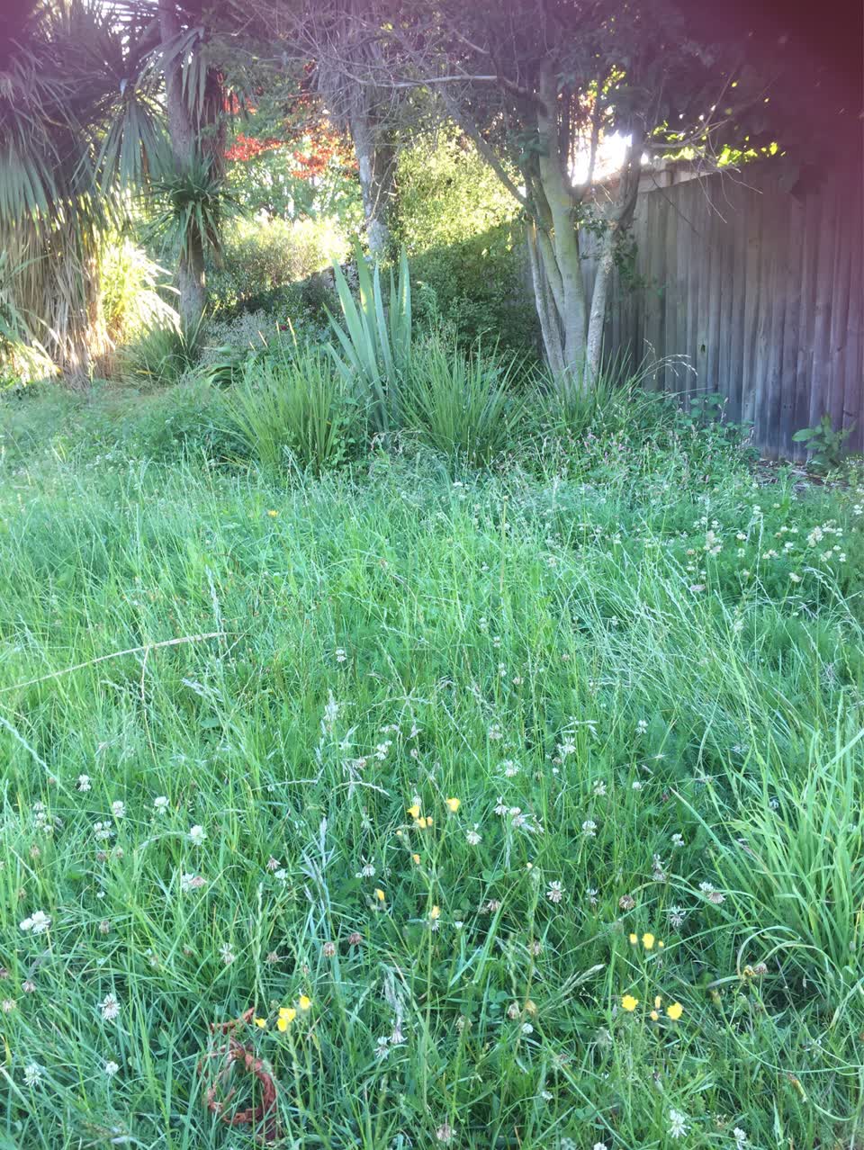 The photograph attached to this parks report