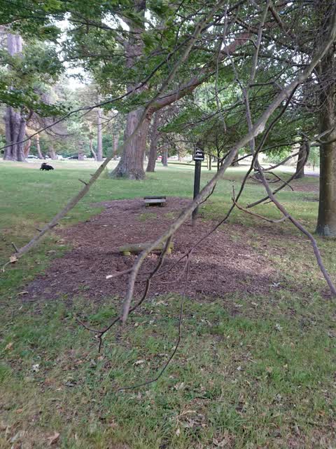Parks, a report photo