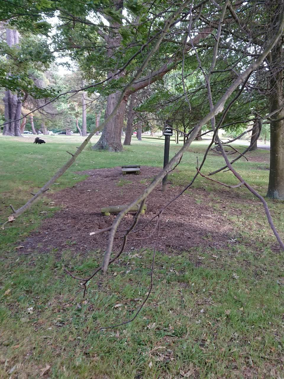 The photograph attached to this parks report