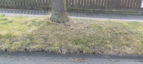 Parks, a report photo