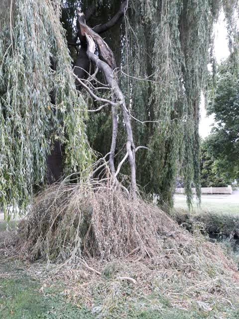 Parks, a report photo