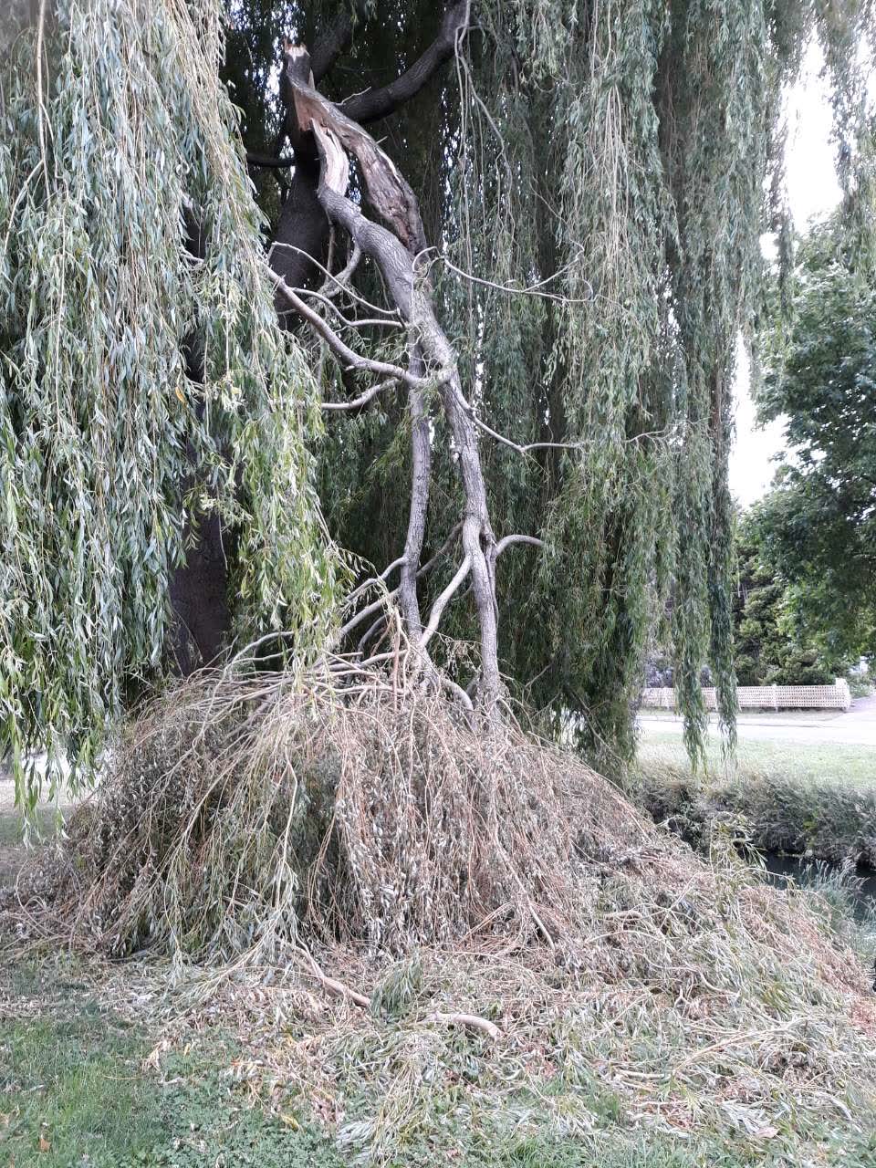 The photograph attached to this parks report