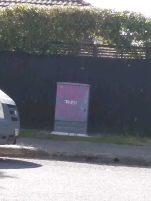 Graffiti, a report photo