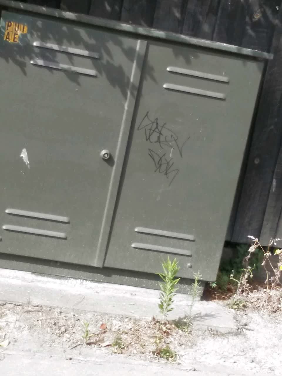 The photograph attached to this graffiti report