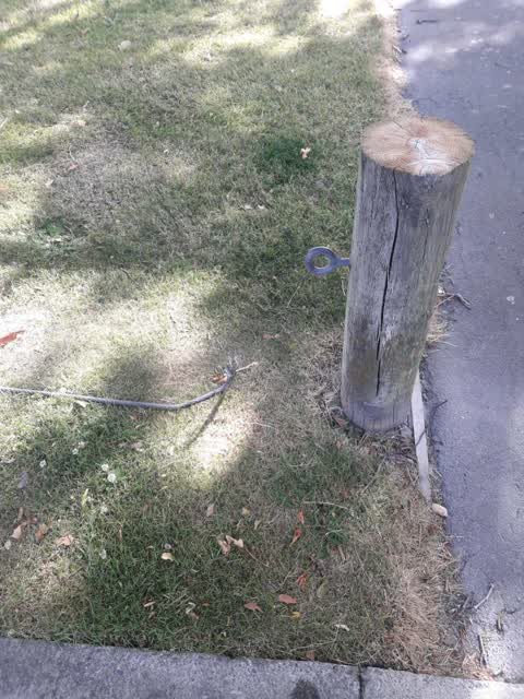 Parks, a report photo