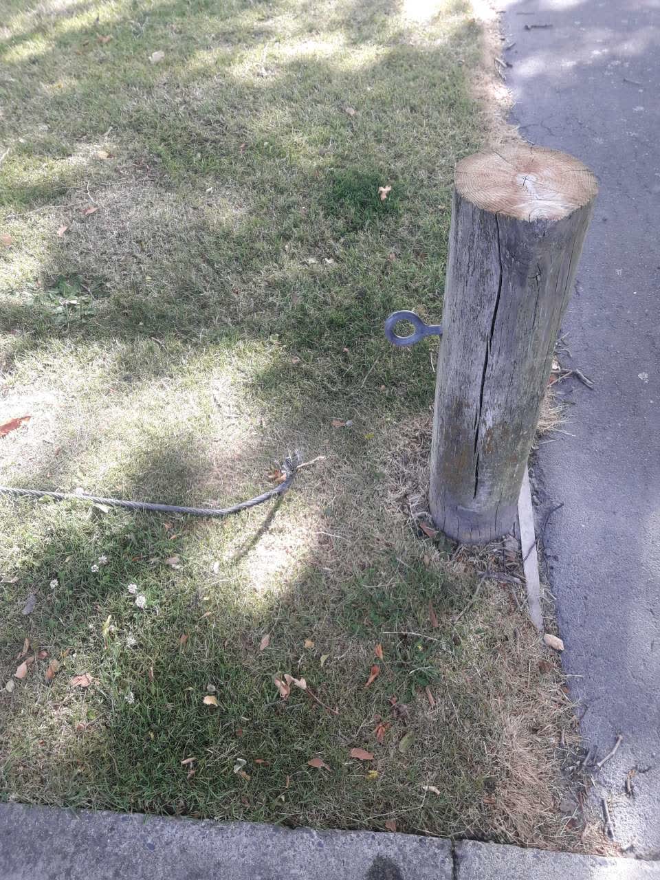 The photograph attached to this parks report