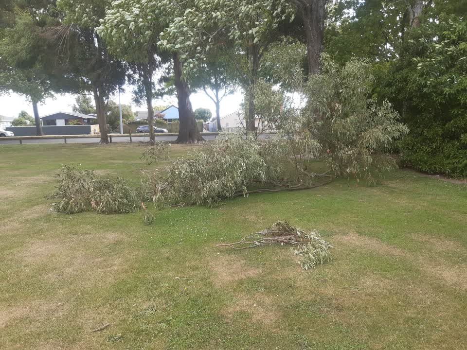 The photograph attached to this parks report