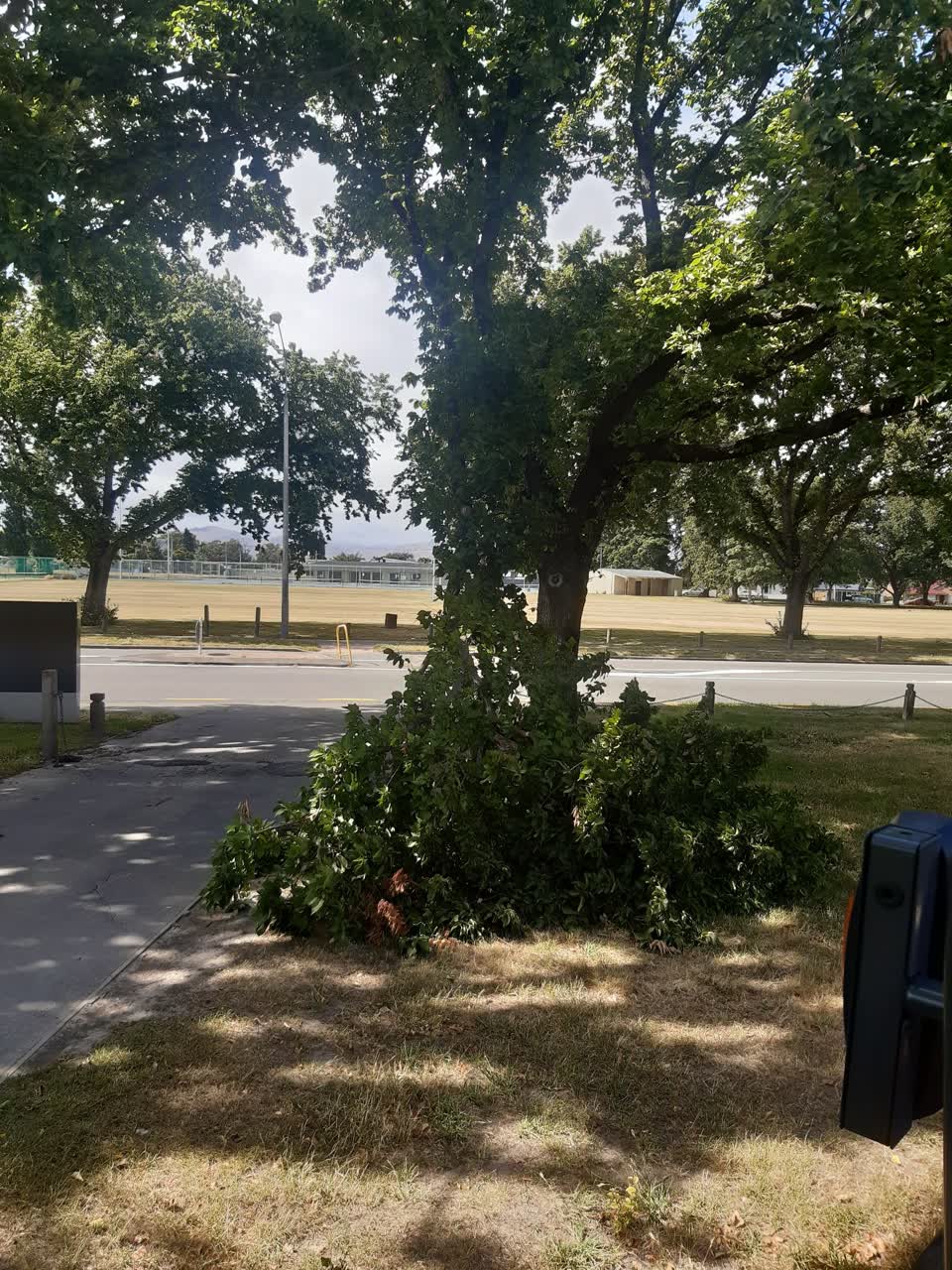 The photograph attached to this parks report